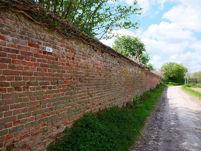 Continuez la balade à travers champs