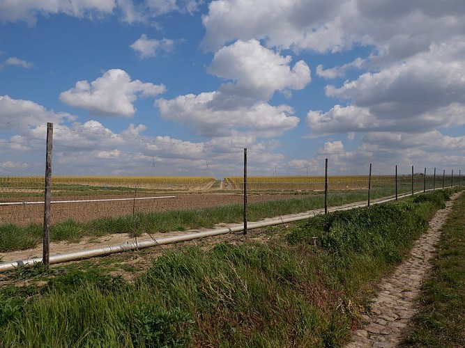 Chavée de la Vieille Cense