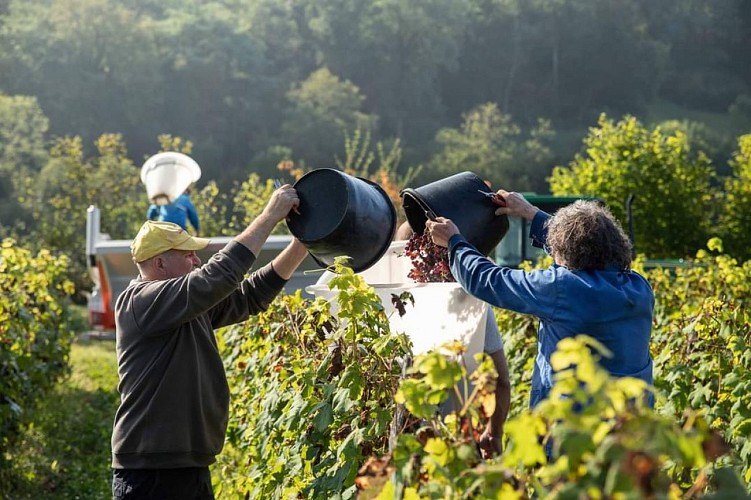 Source de la Reyssouze - Belvédère et vignes du Mont Rignat