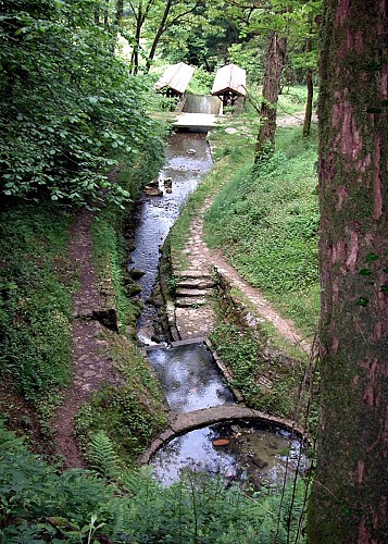 Source de la Reyssouze - Belvédère et vignes du Mont Rignat