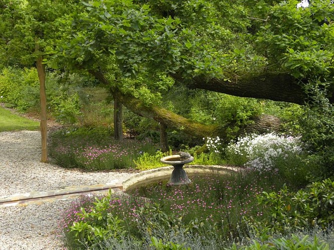 Yourte du Bois du Puits