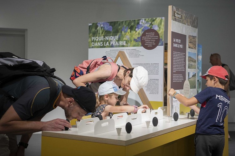 La Foret de Buzet Dans Tous ses Etats Maison Biodiversite - Helene Ressayres - 21