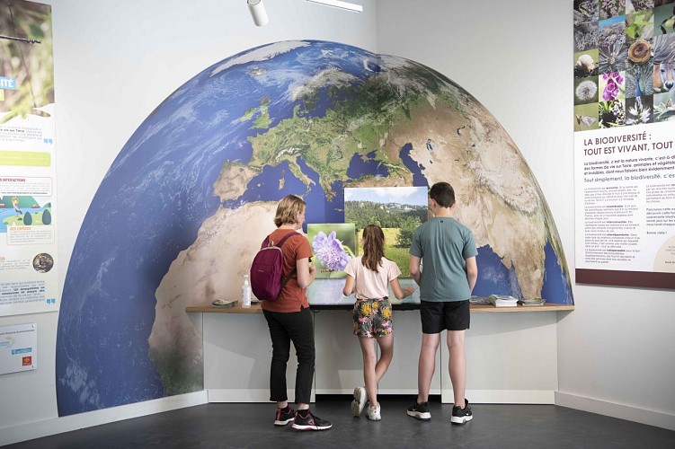 La Foret de Buzet Dans Tous ses Etats Maison Biodiversite - Helene Ressayres - 6