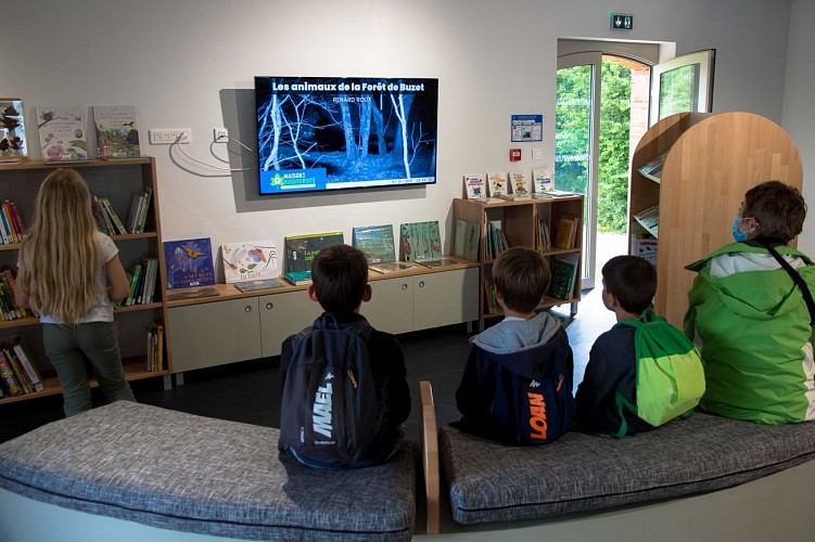 la foret de Buzet dans tous ses etats - Elisabeth MATHIEU-23