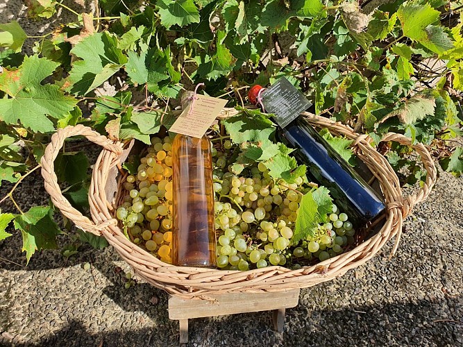 Domaine Devalez - La Cave des Neuf et Treize