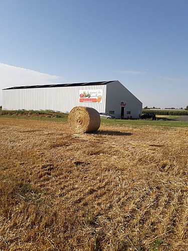 Le Panier de Camille