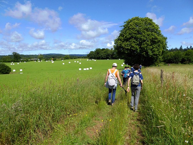 Aire pique-nique Les Billanges (2)