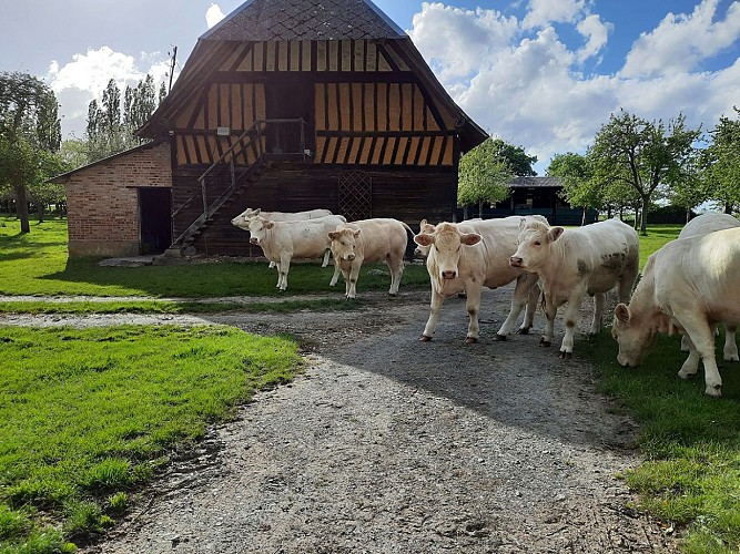 Le colombier de la lanterne à Vannecrocq (1)
