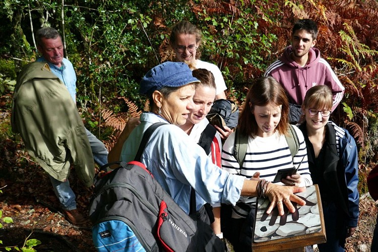 Aire pique-nique Saint-Léger tourbière (2)