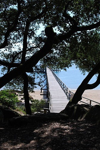 Plage des Dames