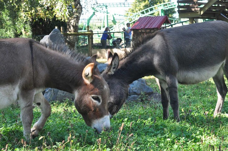 Cigoland - Storchen- und Freizeitpark