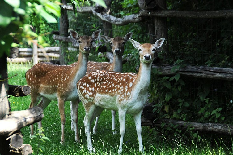 Cigoland Parc des Cigognes et Attractions