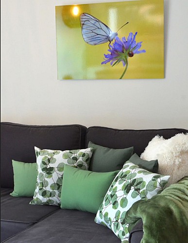 Meublé Gîte Au pied des Lacs