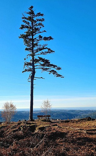 roches de faucompierre