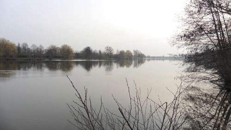 Les étangs de Saint-Georges