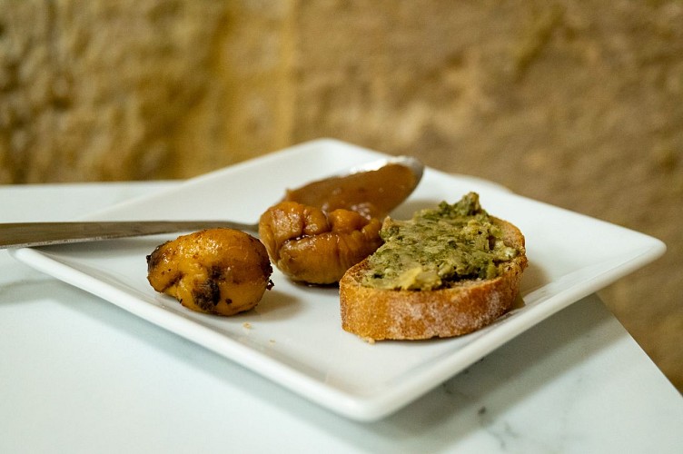 Visites groupes Castanea