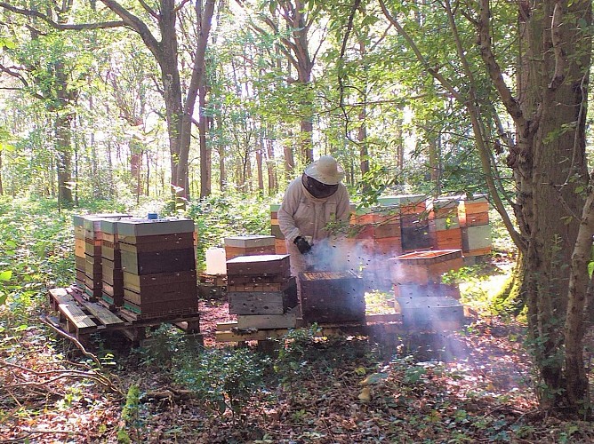 Ruchers Vernon Giverny