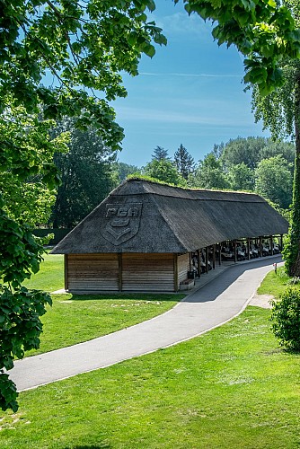 Voiturettes_©️Emma Besnard