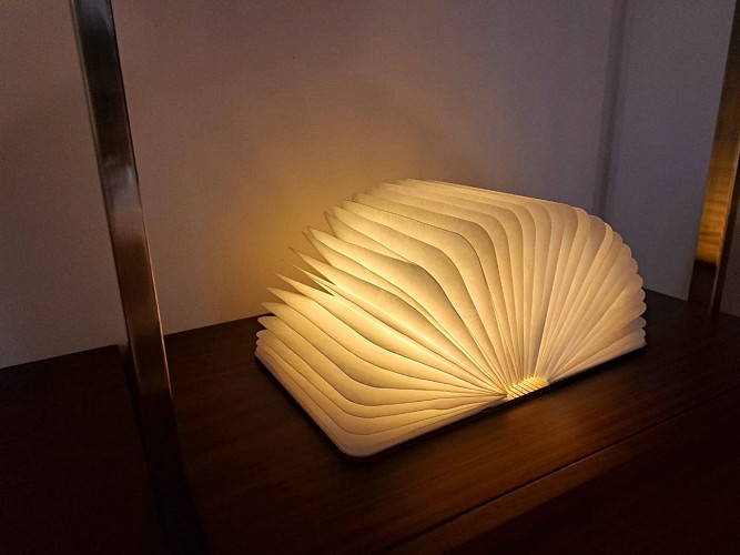 Hôtel Particulier - Louhans