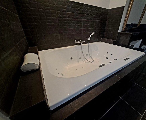 Hôtel Particulier - Louhans