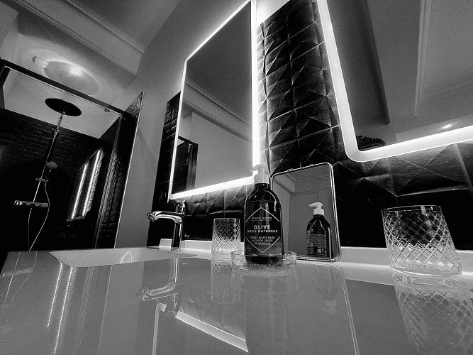 Hôtel Particulier - Louhans