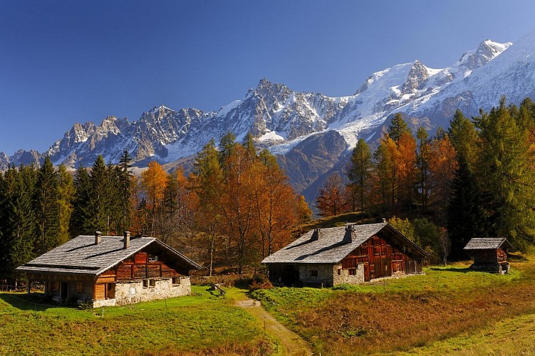 Traditionele boerderijen