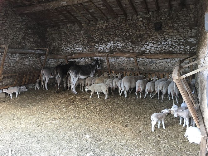 La Ferme de Simondon - Gîte Le Gilbert