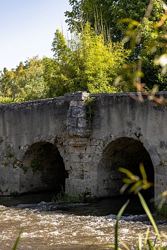 Vieux Pont de Saint-Aulaye