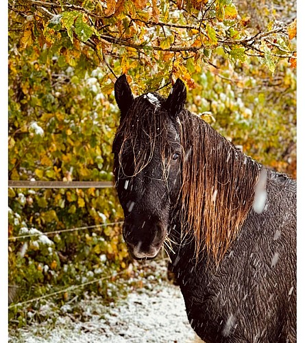 l'ecrin des capucines photo promo (4)