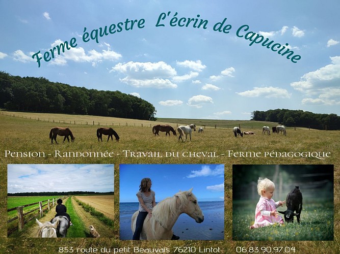 l'ecrin des capucines photo promo