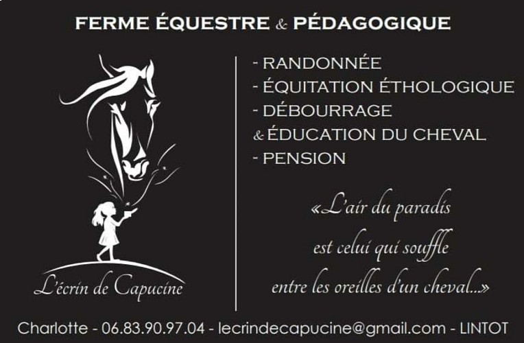 l'ecrin des capucines photo promo (2)