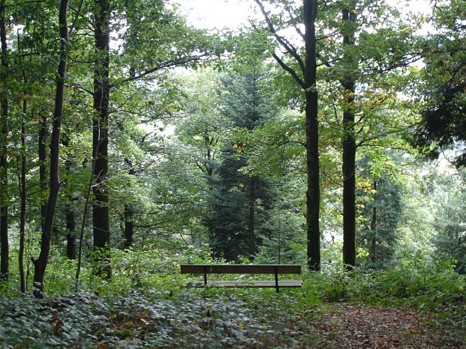 Arboretum van Forrières