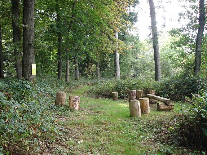 Arboretum van Forrières