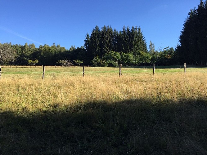 Parc d'1 demi hectare, vue sur les champs et la forêt