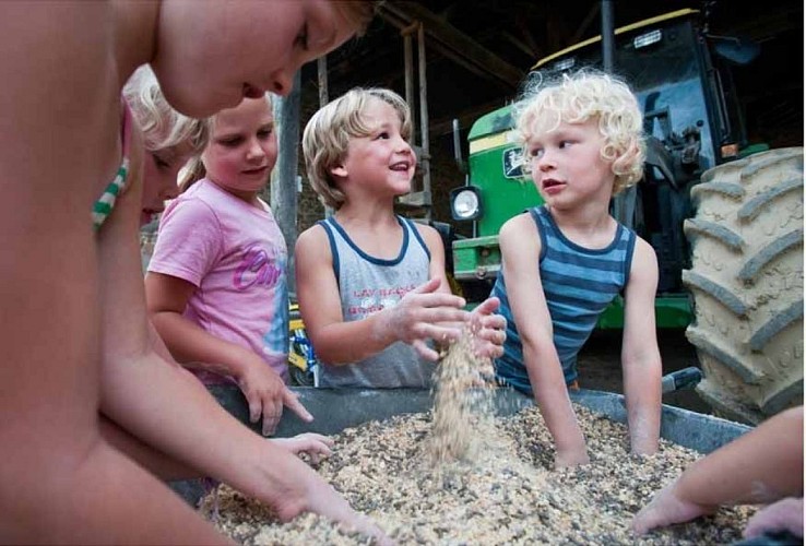 Camping à la ferme du Domaine de Royères