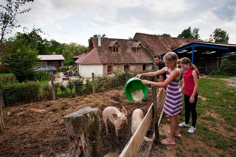 Camping à la ferme du Domaine de Royères_2