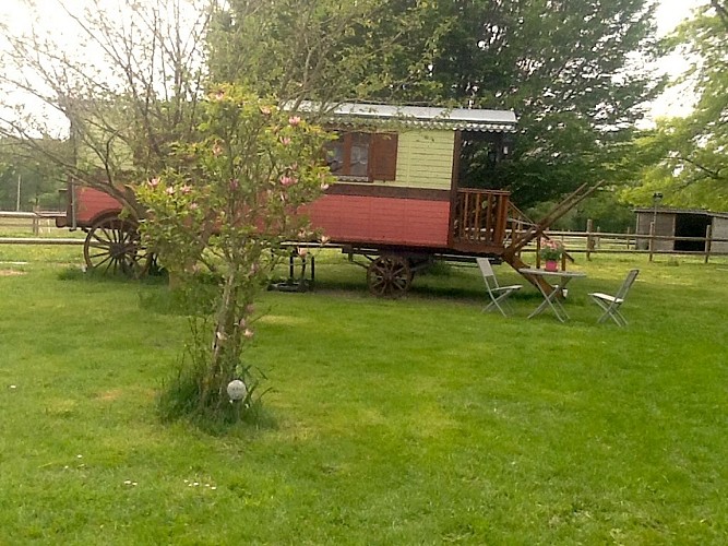 Camping à la ferme, Elevage de la Gandoue_4