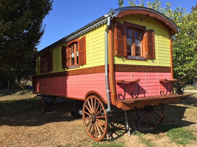 Camping à la ferme, Elevage de la Gandoue_7