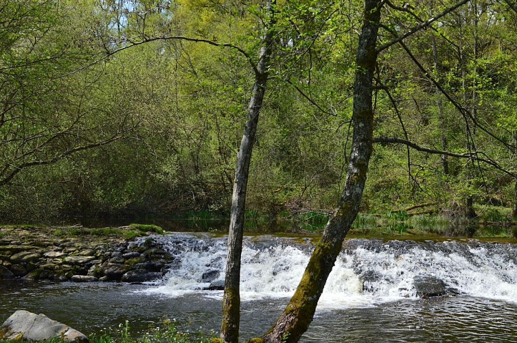 Camping municipal La Sève
