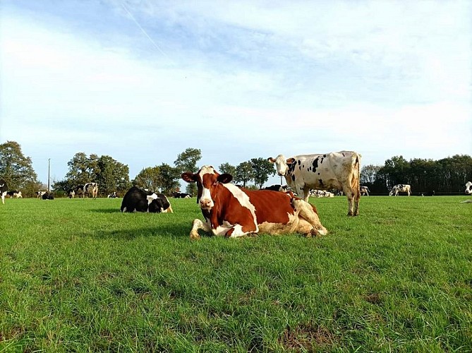 FERME DE LA VALLÉE DE SAINT-FLOUR