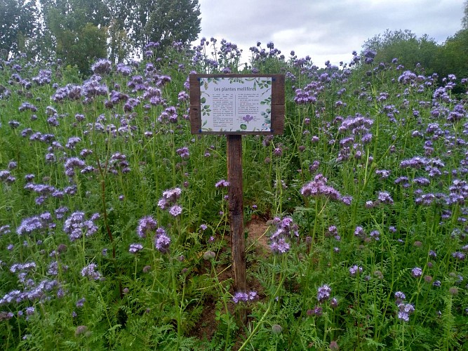 Ferme pédagogique Le Marais de Mira