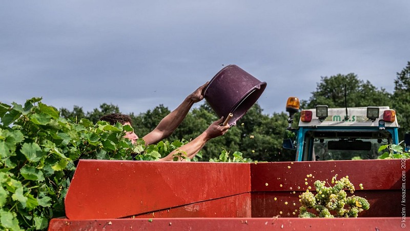 Domaine des Varinelles