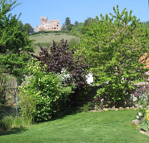 du jardin vue sur le chateau