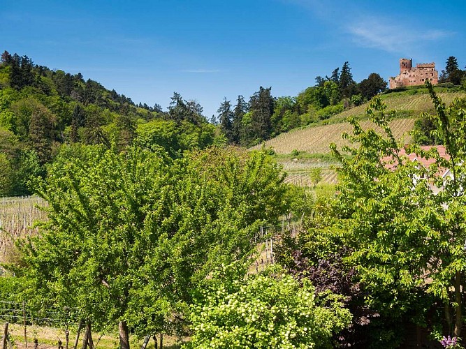 Meublé de tourisme Sylvaner