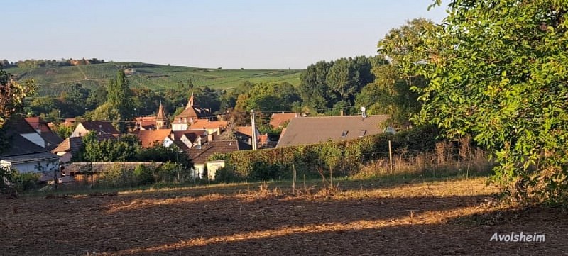 Méublé de Tourisme 7 - Relais du Dompeter
