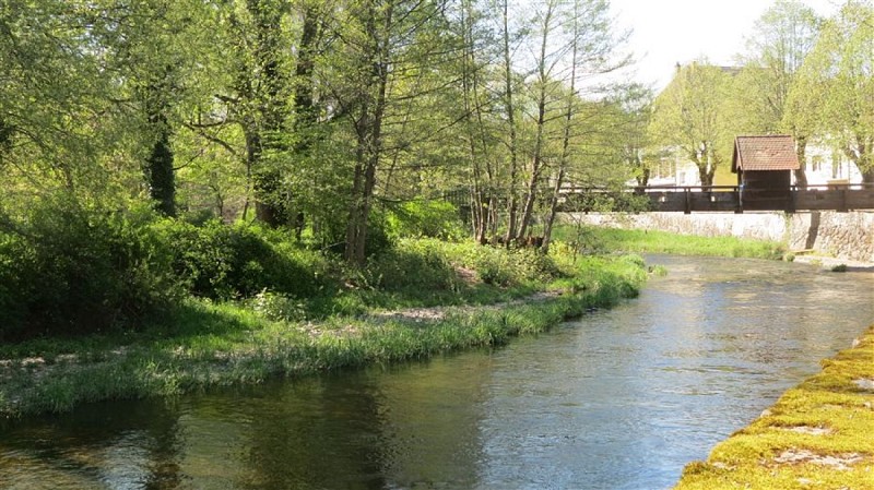 Pêche dans la Doller