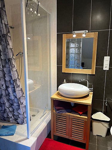 salle de bain avec une grande douche