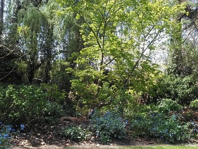 Le jardin 'Fantaisie de campagne'