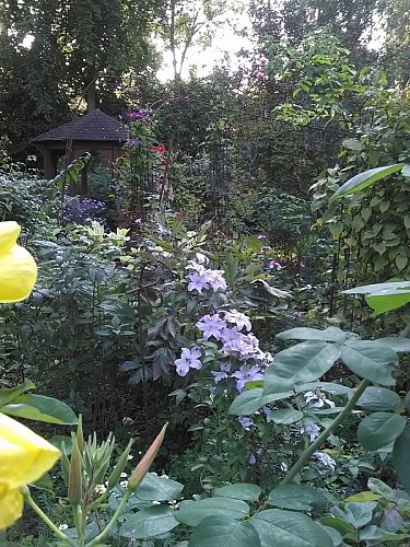 Le jardin 'Fantaisie de campagne'