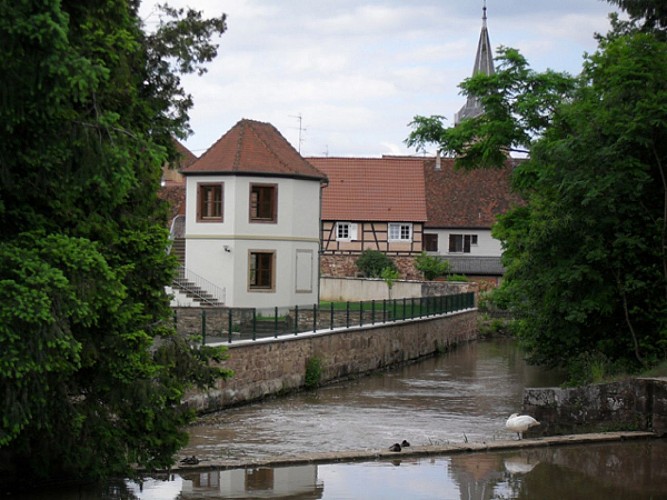 Vue sur le pigeonnier de Wolxheim